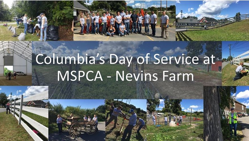 Columbia's Day of Service at the MSPCA at Nevins Farm